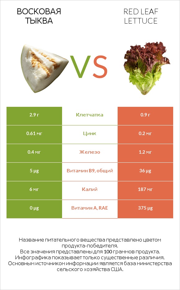Восковая тыква vs Red leaf lettuce infographic