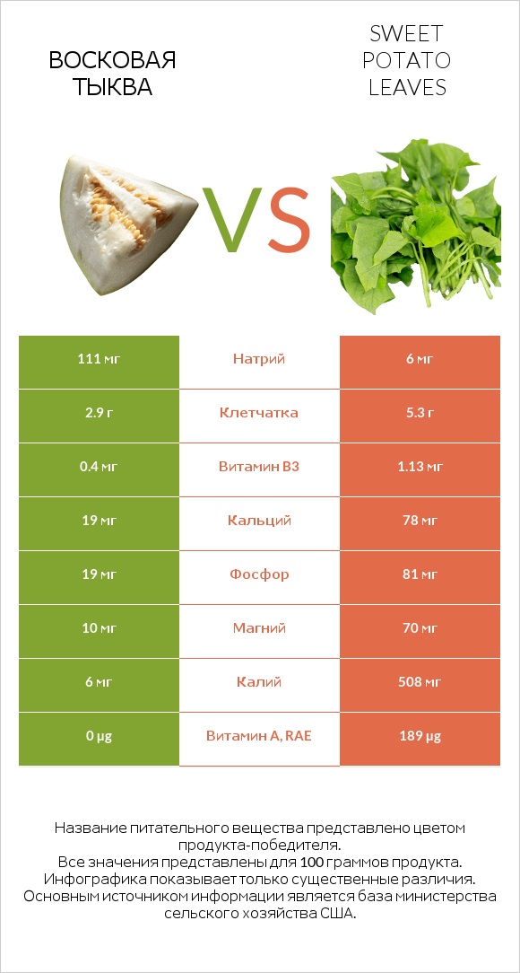 Восковая тыква vs Sweet potato leaves infographic