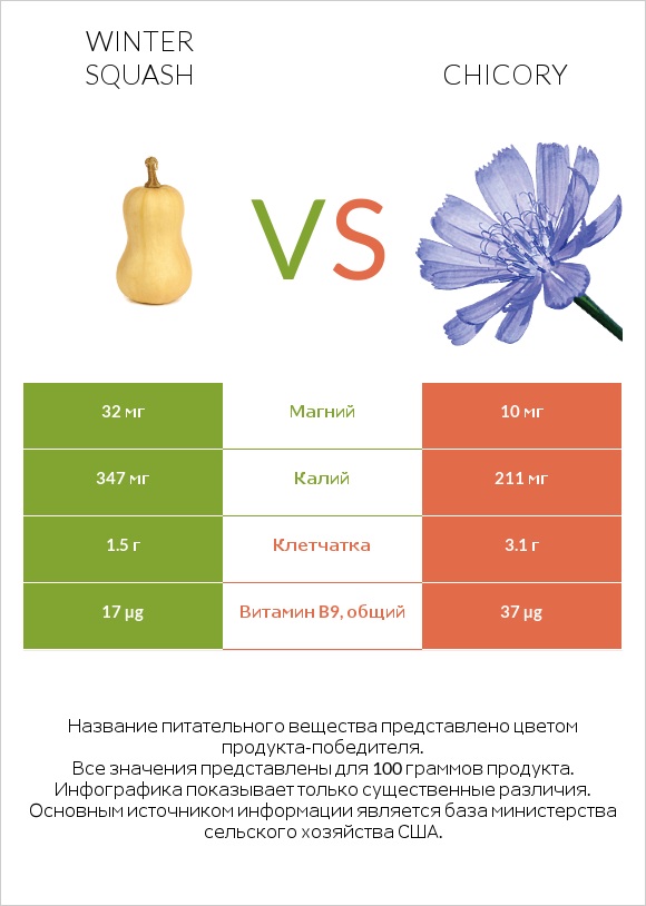 Winter squash vs Chicory infographic