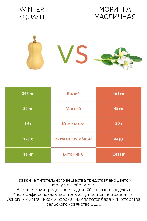 Winter squash vs Моринга масличная infographic