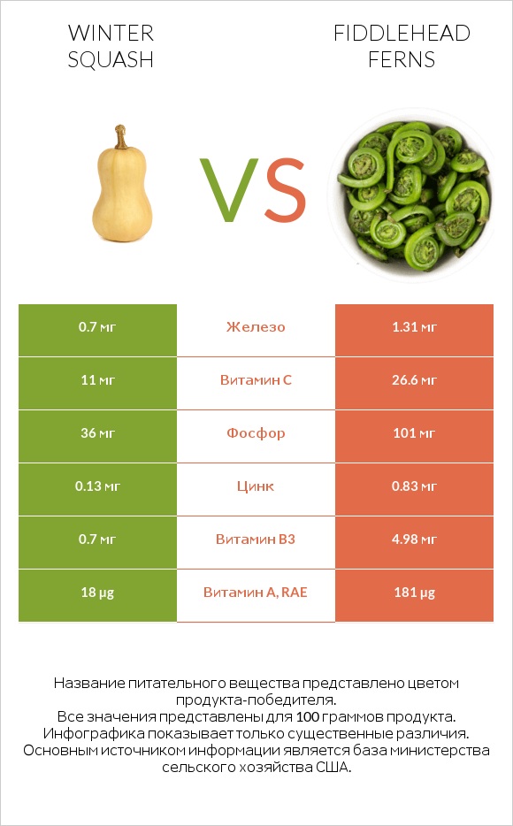 Winter squash vs Fiddlehead ferns infographic