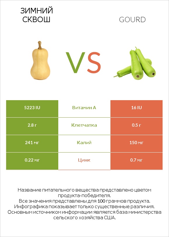 Зимний сквош vs Gourd infographic
