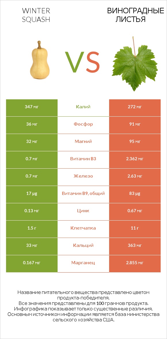 Winter squash vs Виноградные листья infographic