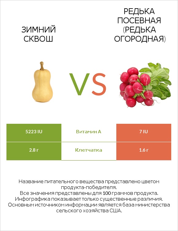 Зимний сквош vs Редька посевная (Редька огородная) infographic