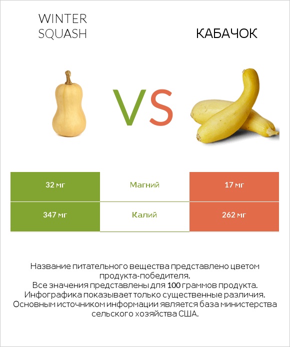 Winter squash vs Кабачок infographic