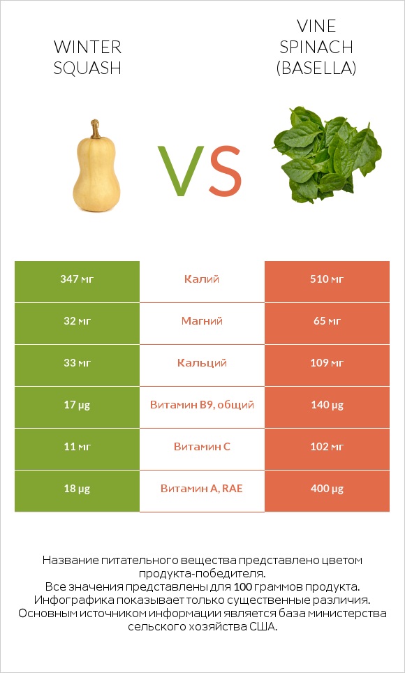 Winter squash vs Vine spinach (basella) infographic