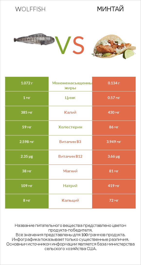 Wolffish vs Минтай infographic