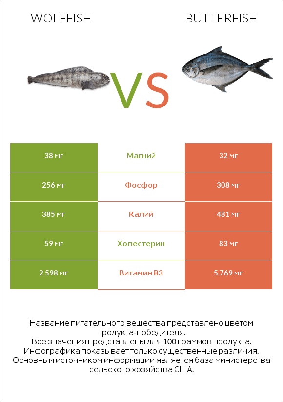 Wolffish vs Butterfish infographic