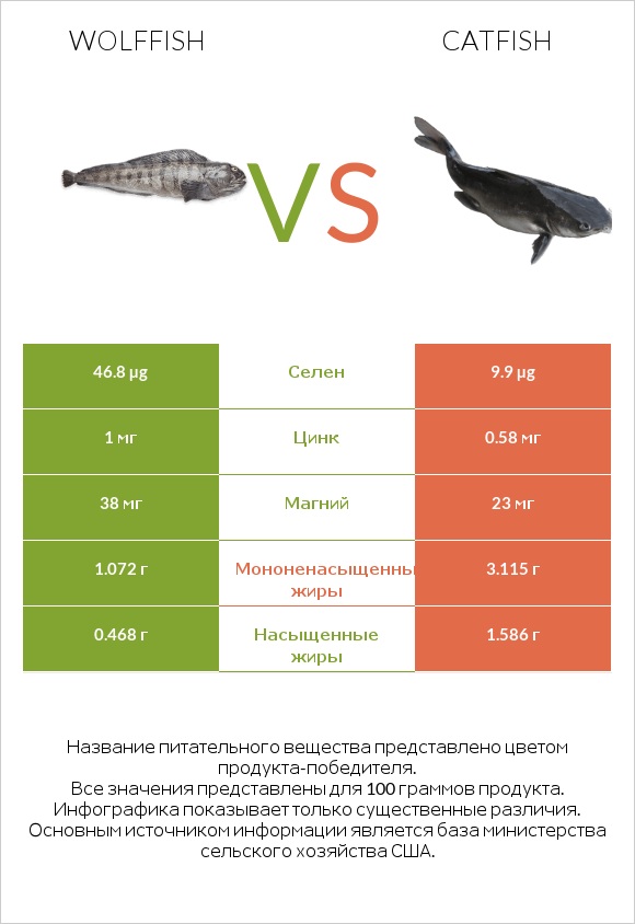 Wolffish vs Catfish infographic