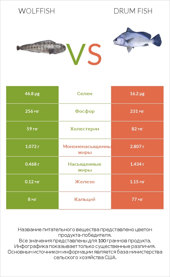 Wolffish vs Drum fish infographic