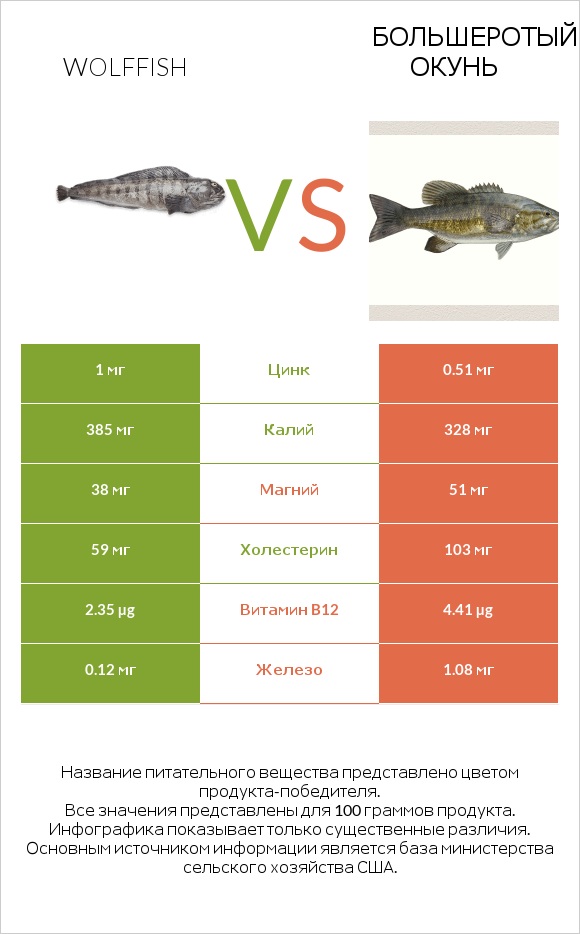 Wolffish vs Большеротый окунь infographic