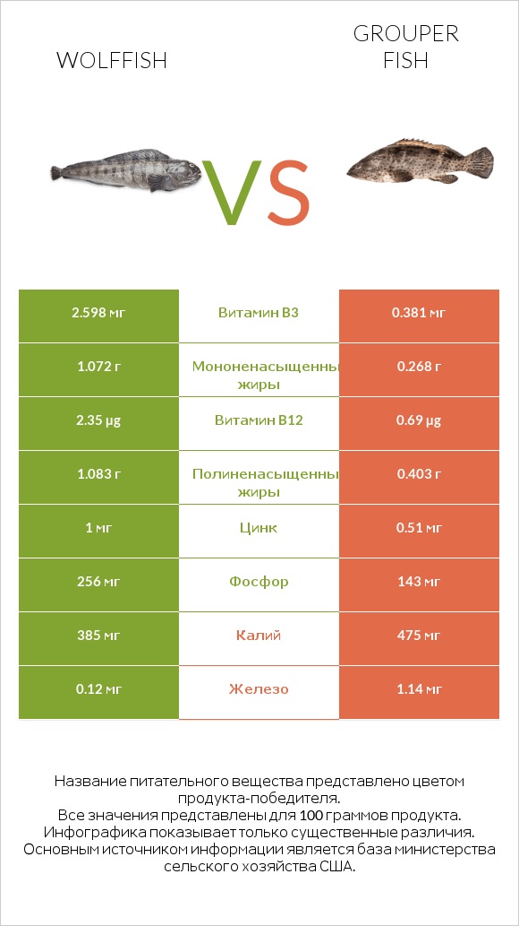 Wolffish vs Grouper fish infographic