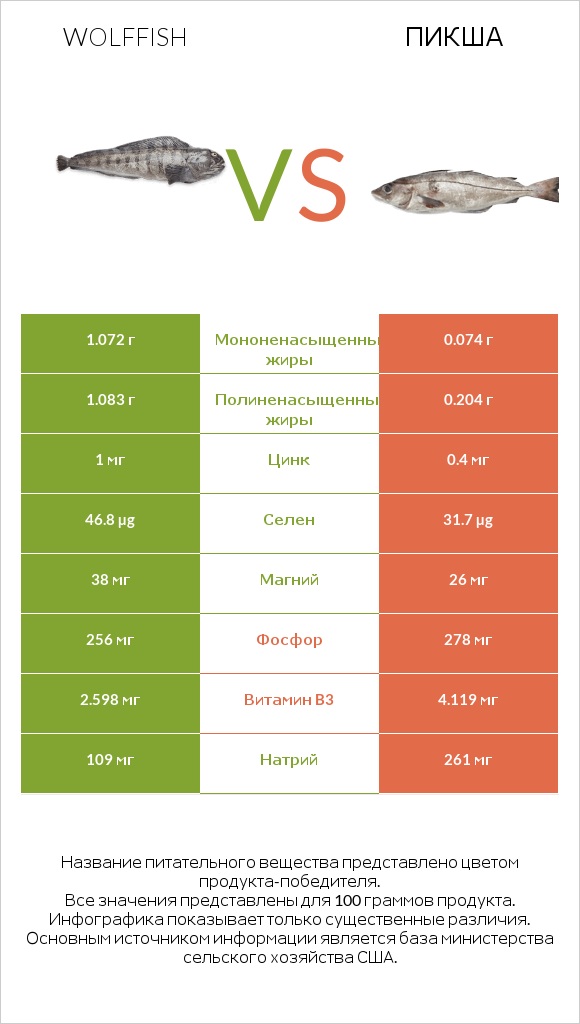 Wolffish vs Пикша infographic