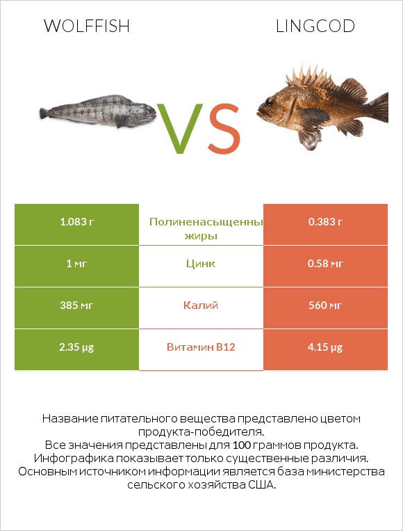 Wolffish vs Lingcod infographic