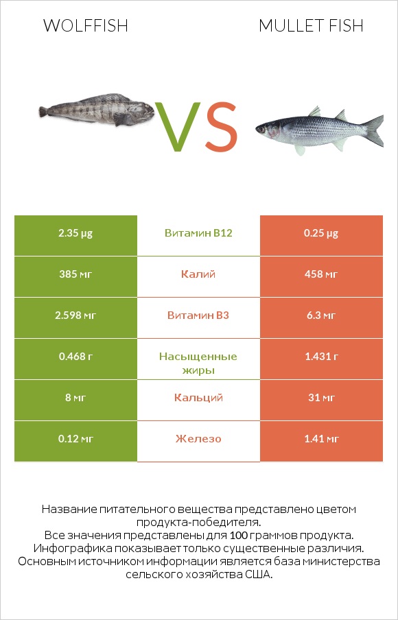 Wolffish vs Mullet fish infographic