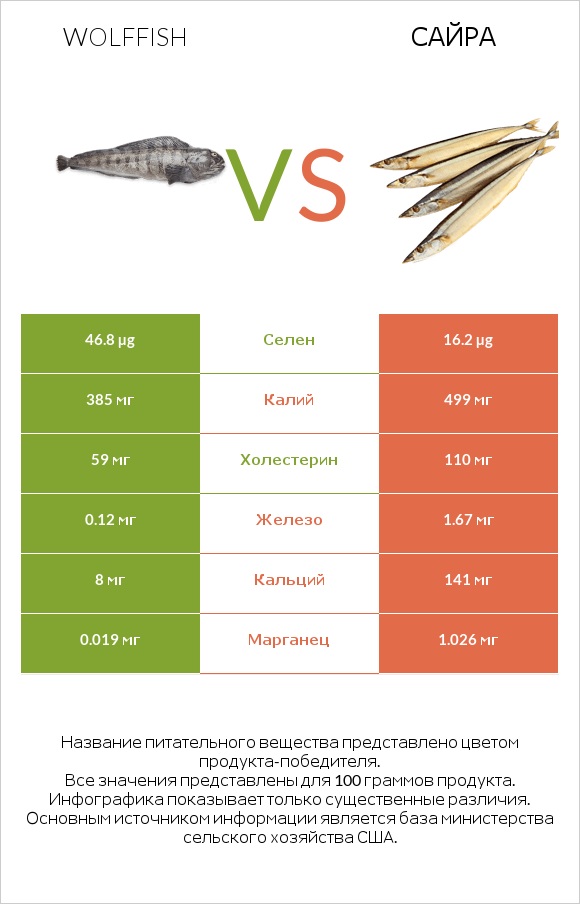 Wolffish vs Сайра infographic