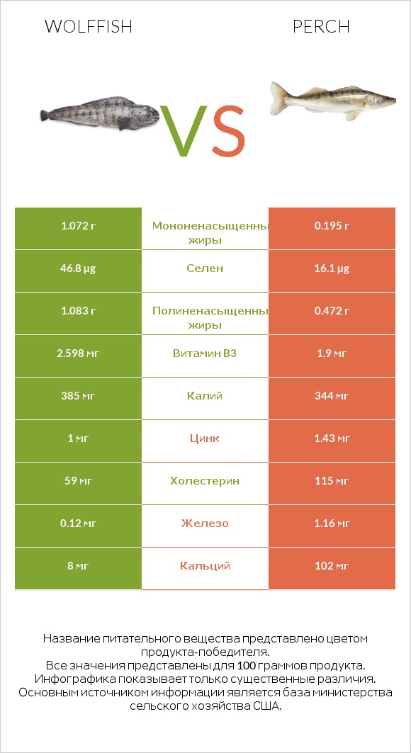 Wolffish vs Perch infographic