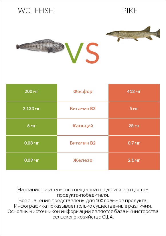 Wolffish vs Pike infographic