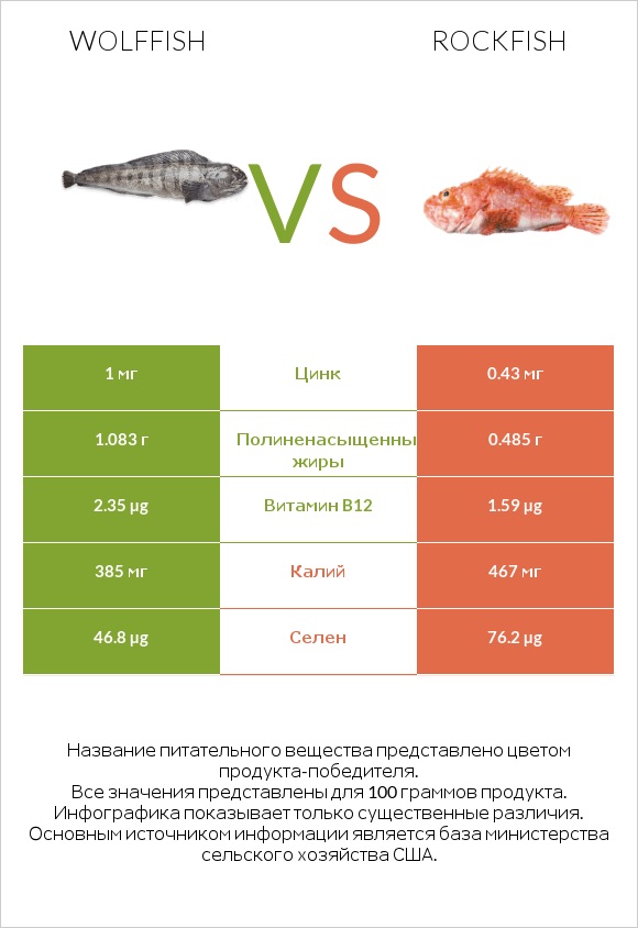 Wolffish vs Rockfish infographic