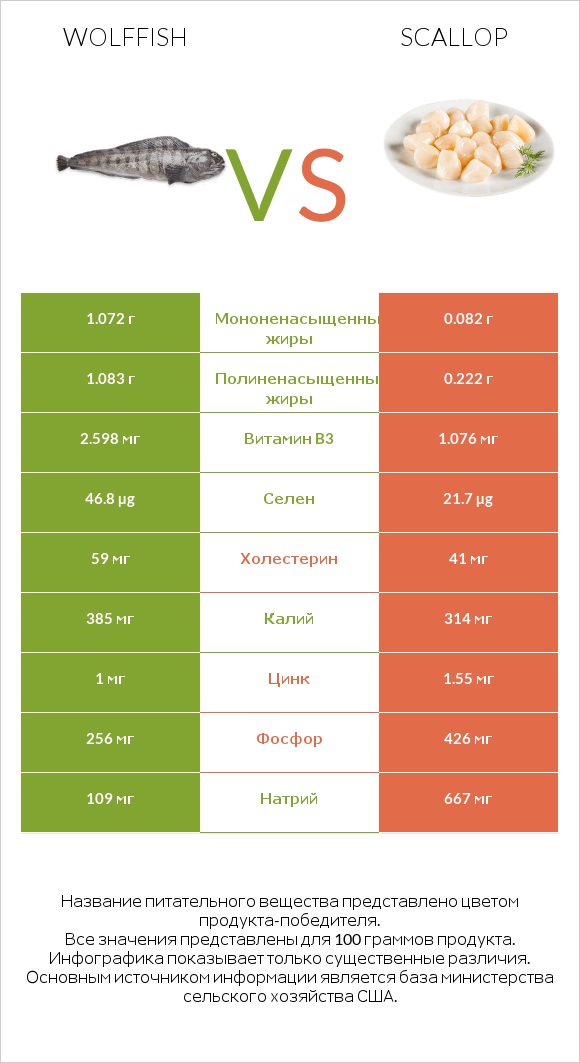Wolffish vs Scallop infographic