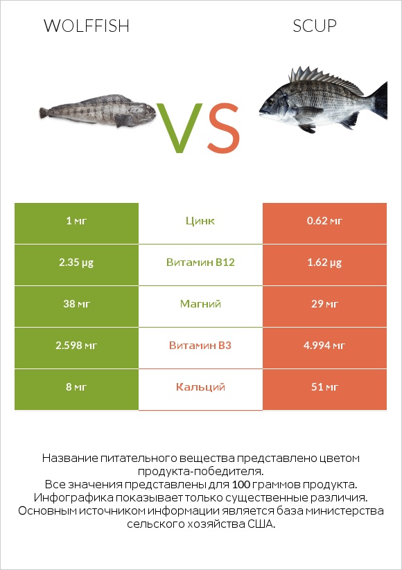 Wolffish vs Scup infographic