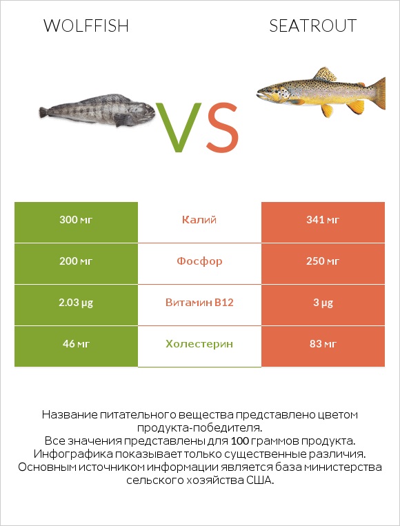 Wolffish vs Seatrout infographic