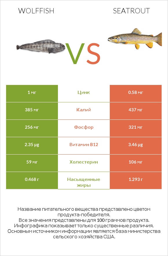 Wolffish vs Seatrout infographic