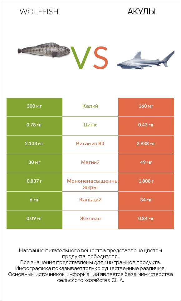 Wolffish vs Акула infographic