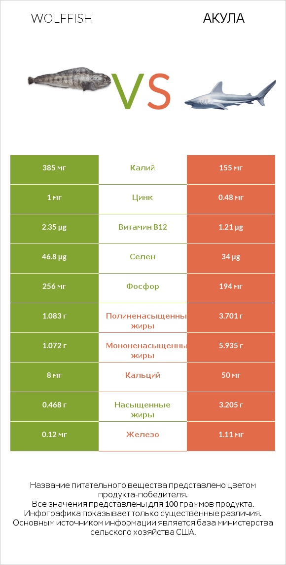 Wolffish vs Акула infographic