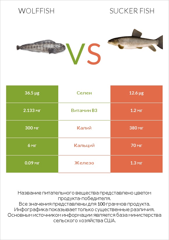 Wolffish vs Sucker fish infographic