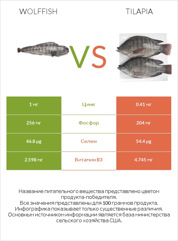 Wolffish vs Tilapia infographic