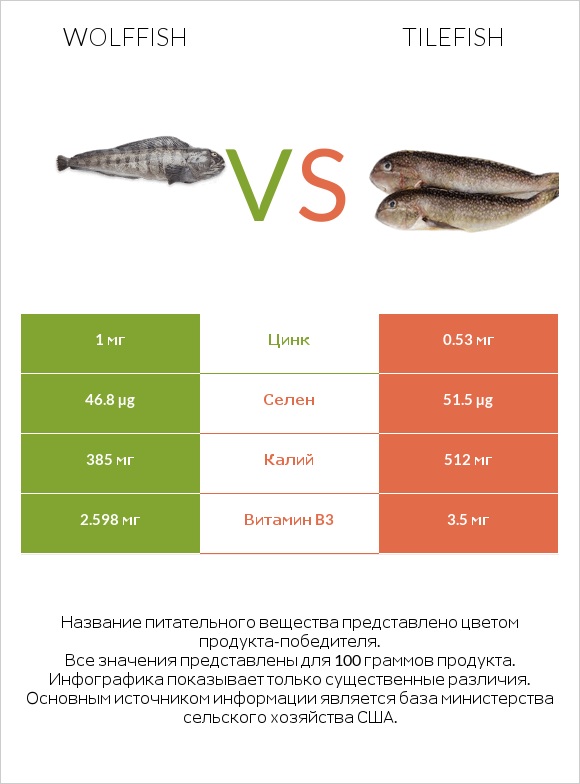 Wolffish vs Tilefish infographic