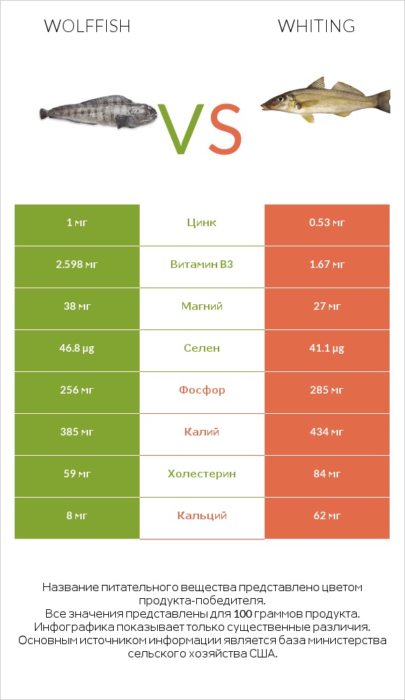 Wolffish vs Whiting infographic