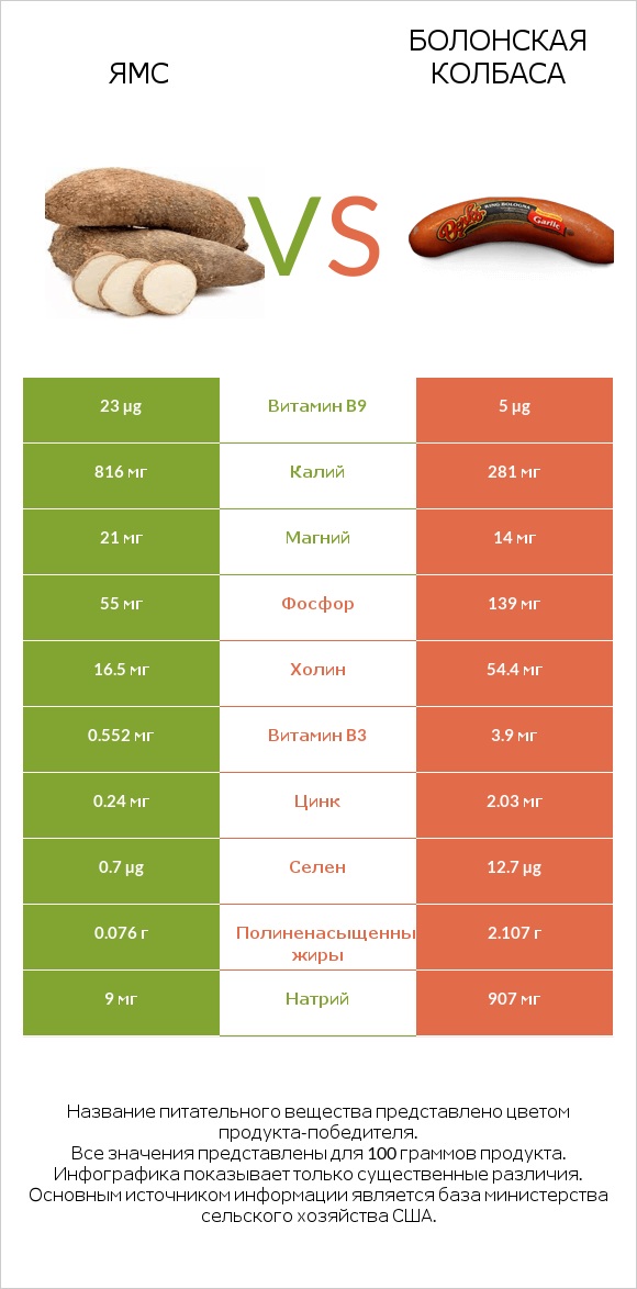 Ямс vs Болонская колбаса infographic