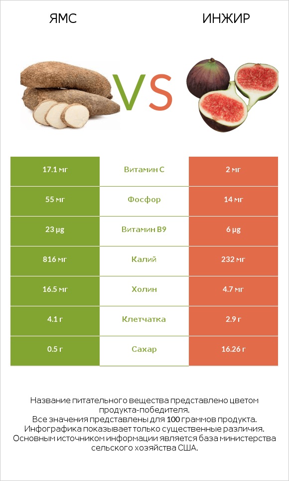 Ямс vs Инжир infographic