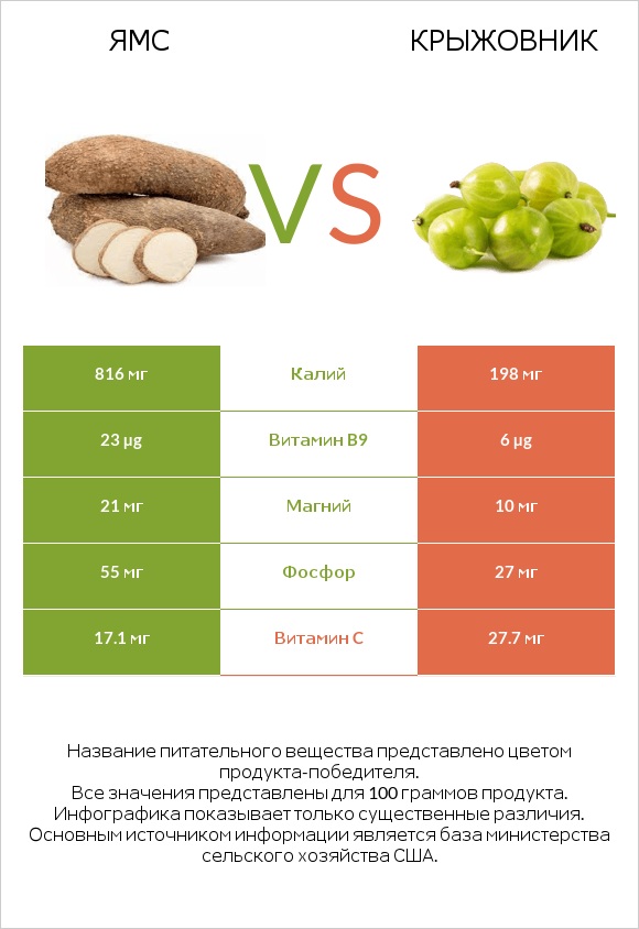 Ямс vs Крыжовник infographic
