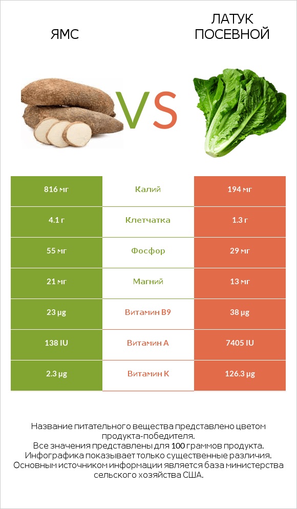 Ямс vs Латук посевной infographic