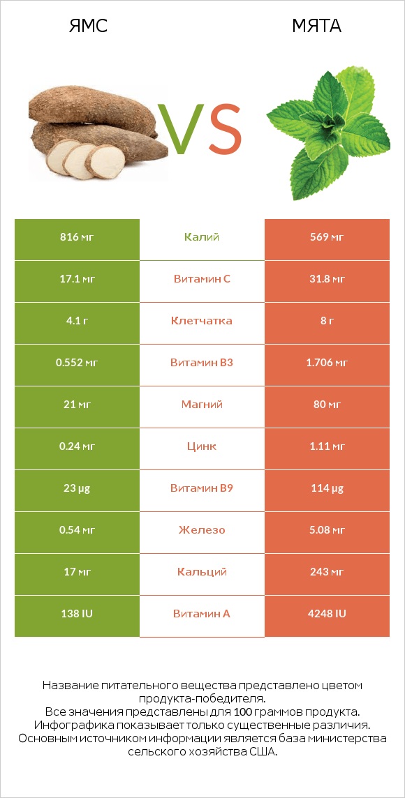 Ямс vs Мята infographic