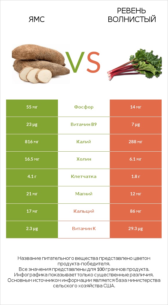 Ямс vs Ревень волнистый infographic