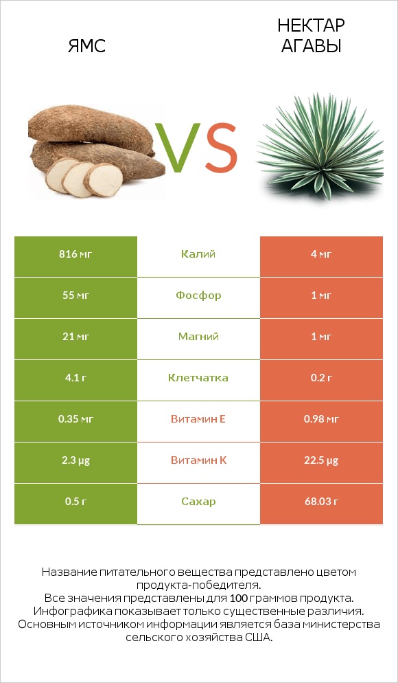 Ямс vs Нектар агавы infographic