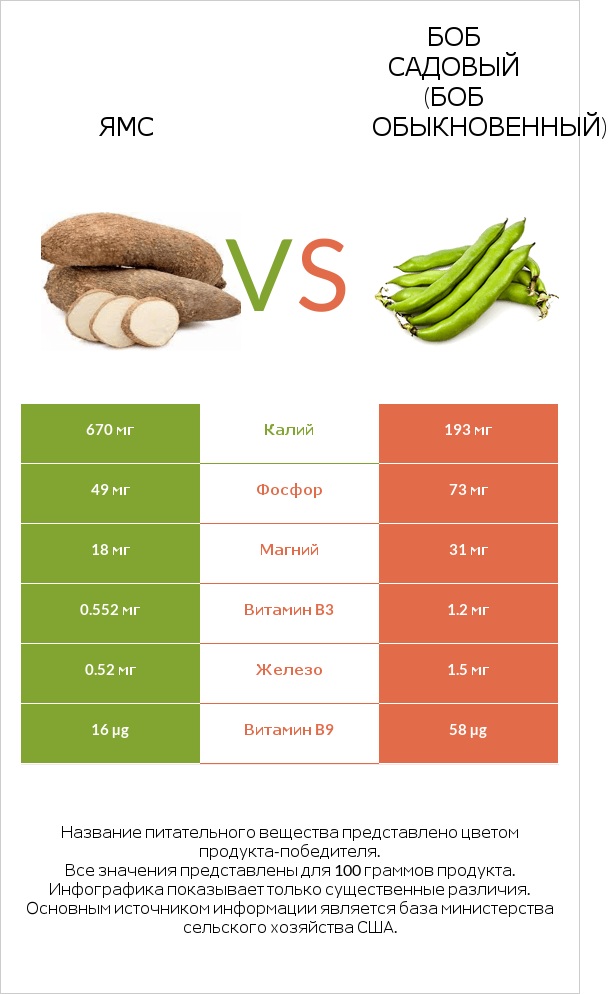 Ямс vs Боб садовый (Боб обыкновенный) infographic