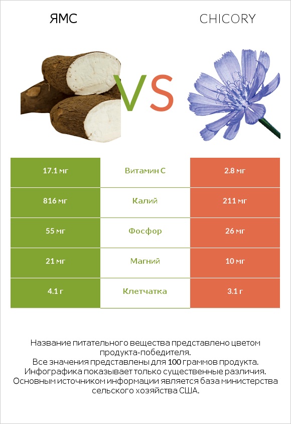 Ямс vs Chicory infographic