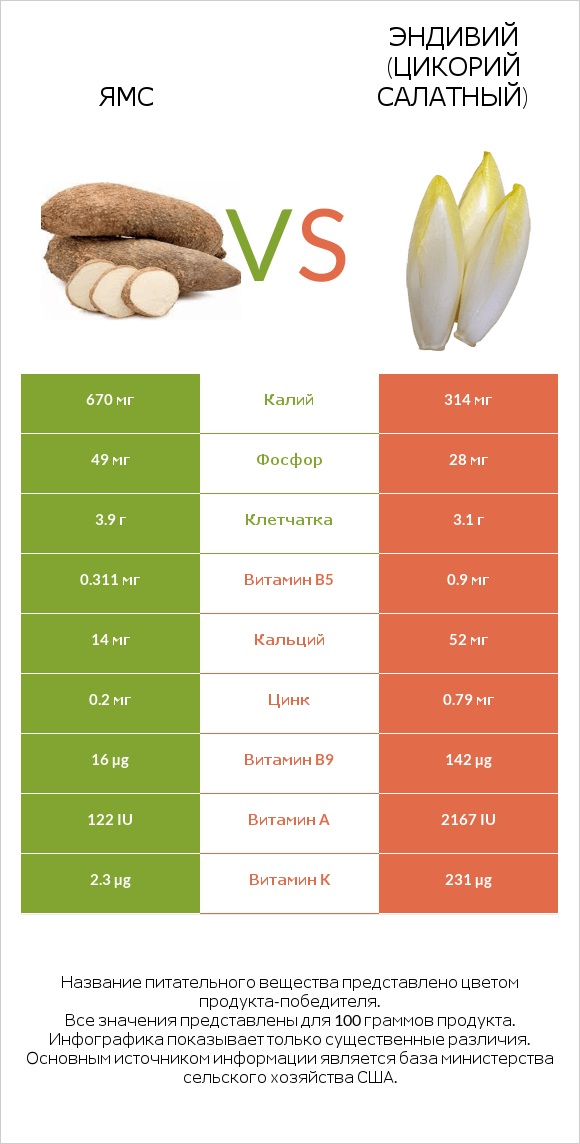 Ямс vs Эндивий infographic