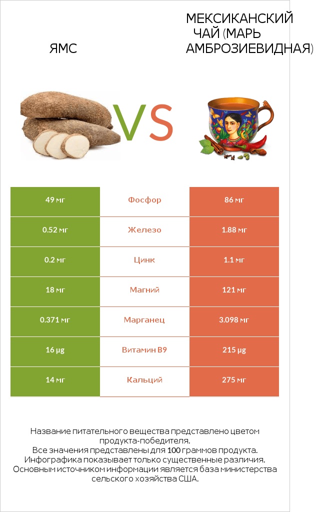 Ямс vs Марь амброзиевидная infographic