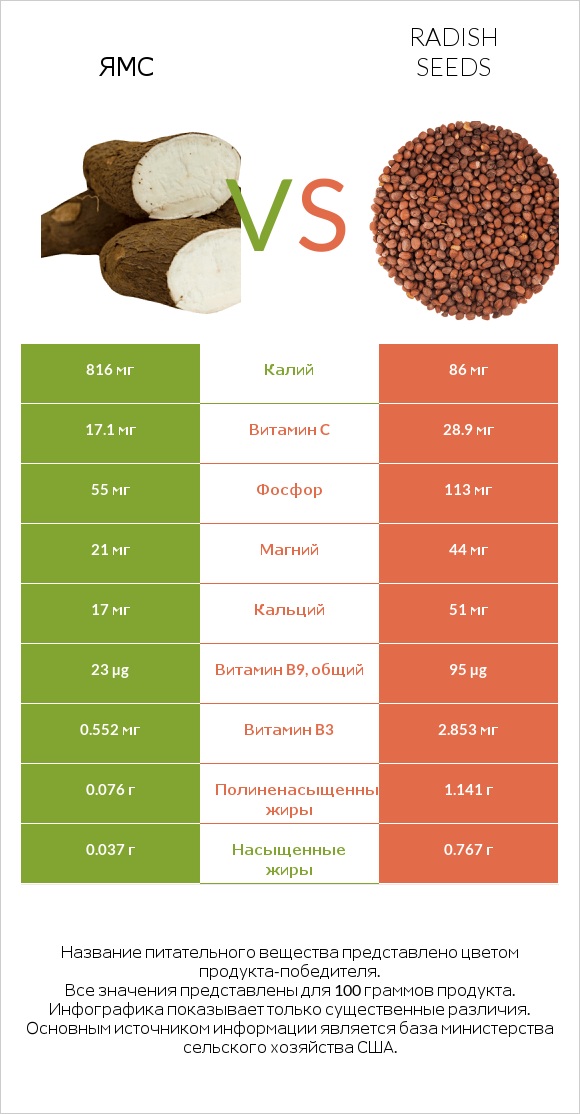 Ямс vs Radish seeds infographic