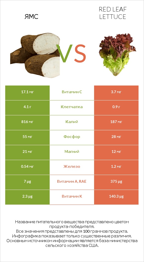 Ямс vs Red leaf lettuce infographic