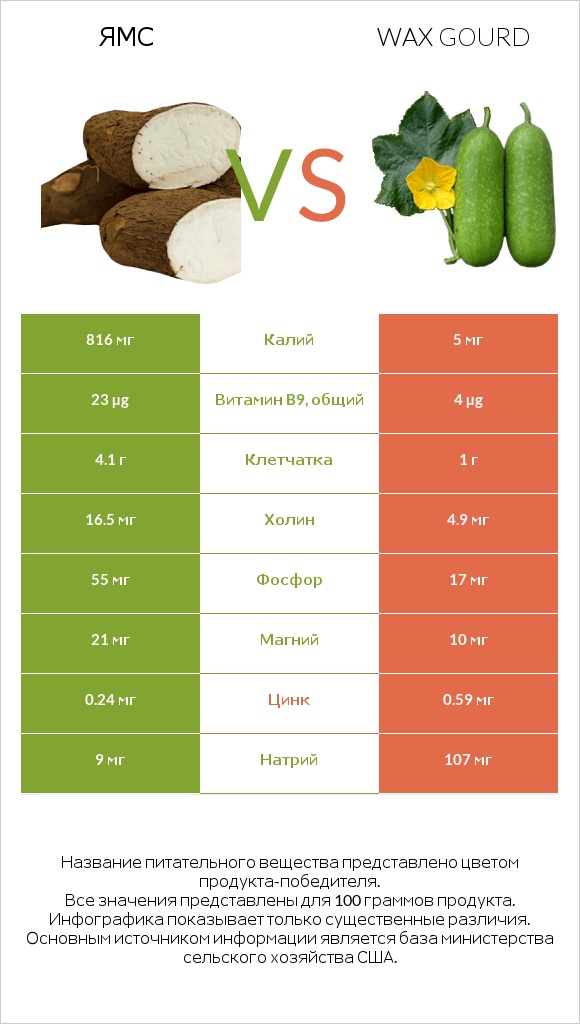 Ямс vs Wax gourd infographic