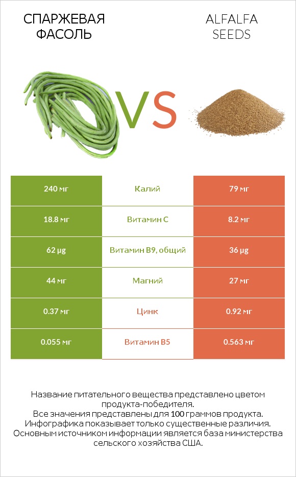Спаржевая фасоль vs Alfalfa seeds infographic