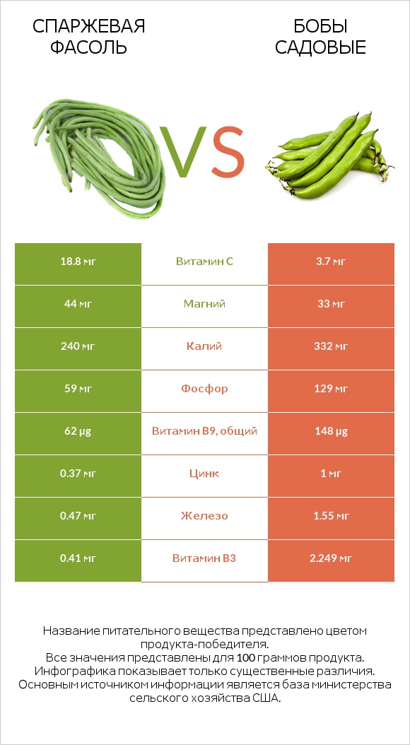 Спаржевая фасоль vs Бобы садовые infographic