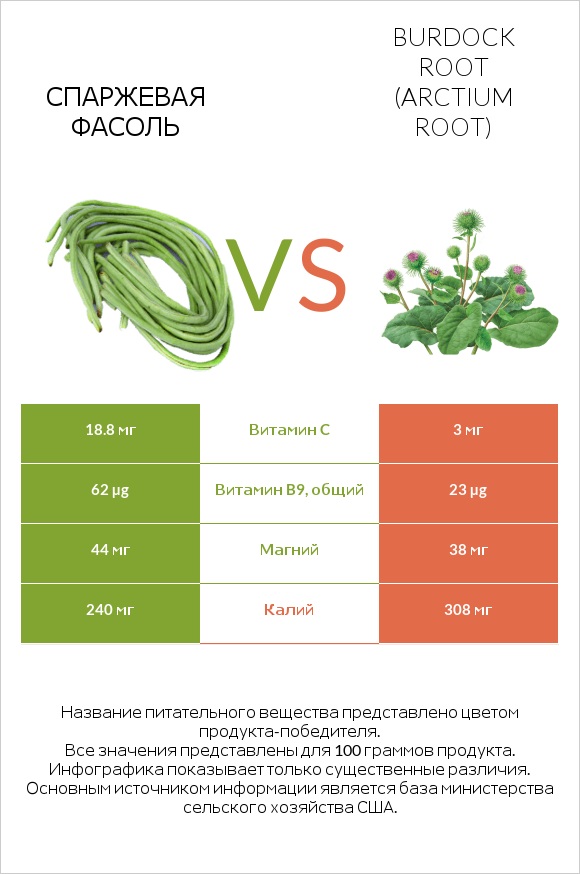 Спаржевая фасоль vs Burdock root infographic